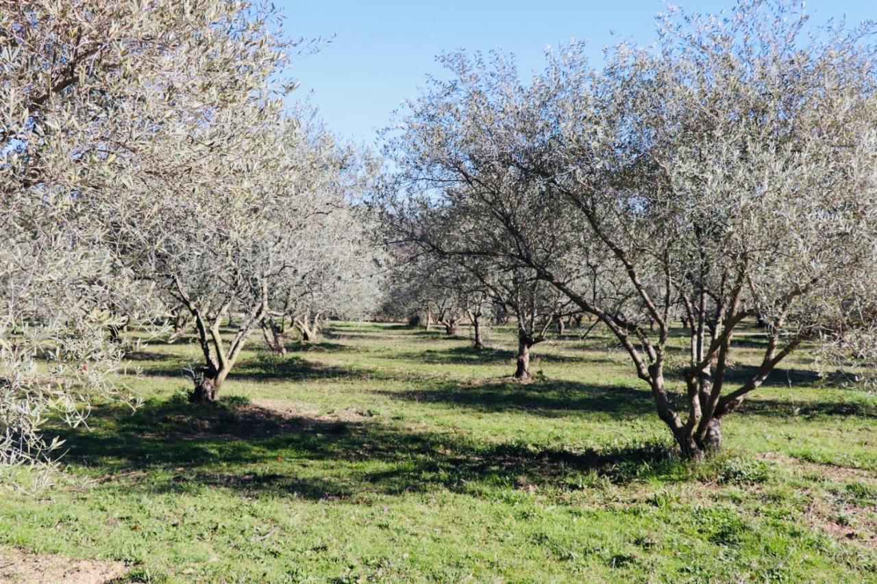 Terre Luberon Otel Pertuis Dış mekan fotoğraf
